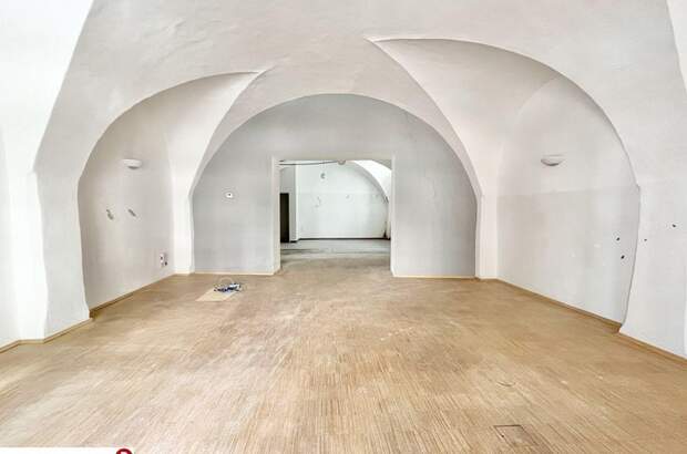 Gewerbeobjekt mieten in 2340 Mödling (Bild 2)