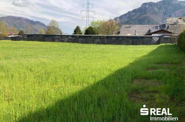 Grundstück kaufen in 4591 Molln (Bild 4)