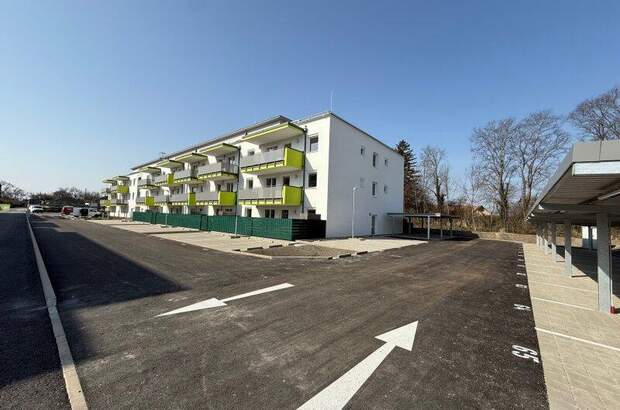 Terrassenwohnung kaufen in 2442 Unterwaltersdorf (Bild 2)
