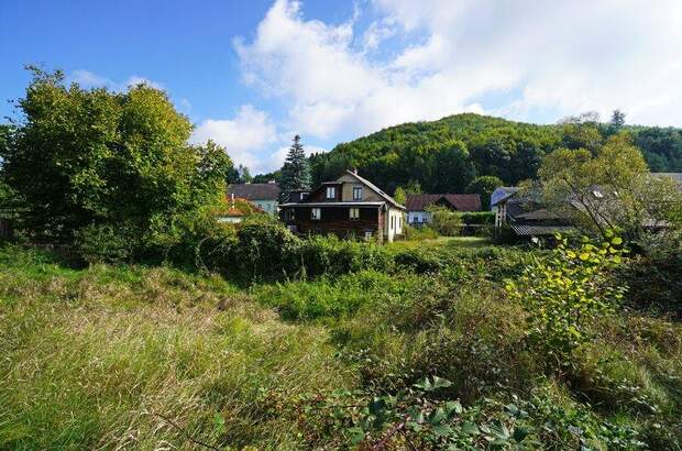 Grundstück kaufen in 3012 Wolfsgraben (Bild 3)