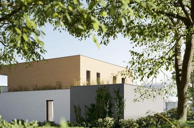 Grundstück kaufen in 8501 Spatenhof (Bild 3)