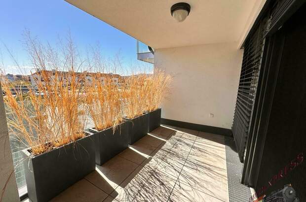 Terrassenwohnung mieten in 2345 Brunn (Bild 3)