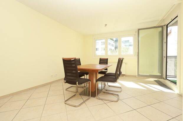Terrassenwohnung mieten in 1030 Wien (Bild 2)