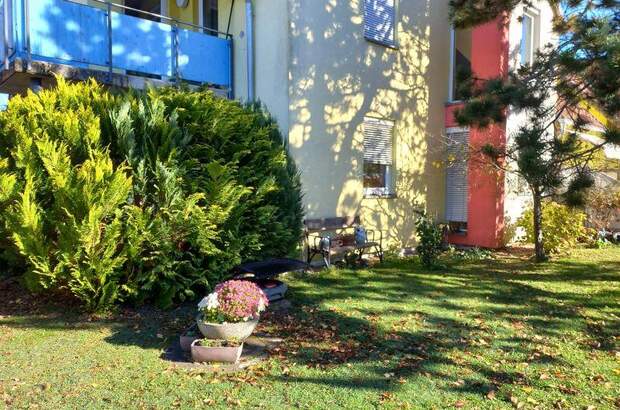 Terrassenwohnung mieten in 8451 Heimschuh (Bild 3)