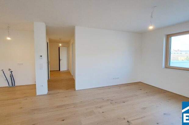 Terrassenwohnung kaufen in 7100 Neusiedl (Bild 5)