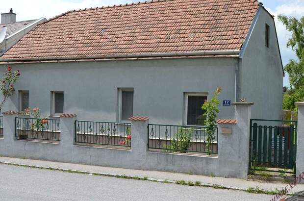 Haus mit Garten kaufen in 2402 Haslau (Bild 2)