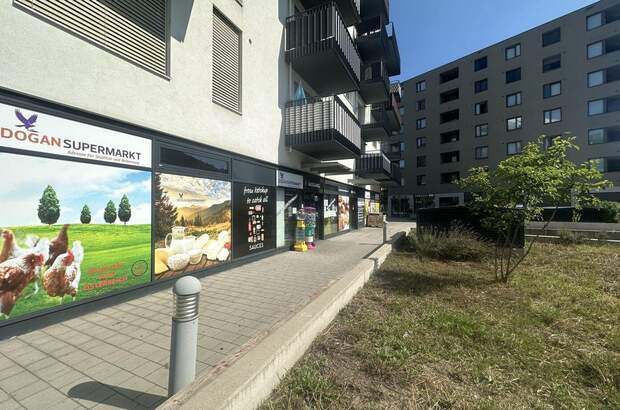 Gewerbeobjekt mieten in 1220 Wien (Bild 3)