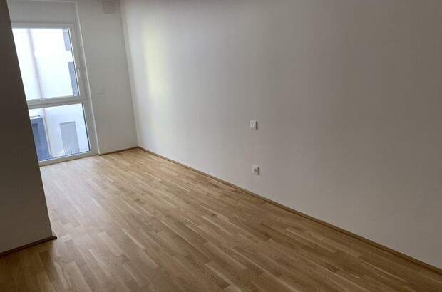 Terrassenwohnung mieten in 1220 Wien (Bild 3)