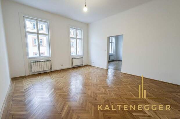 Altbauwohnung kaufen in 1090 Wien (Bild 1)
