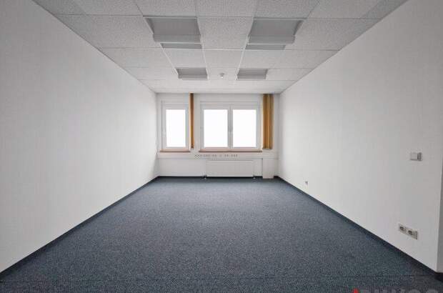 Büro / Praxis mieten in 2351 Wr. Neudorf (Bild 3)