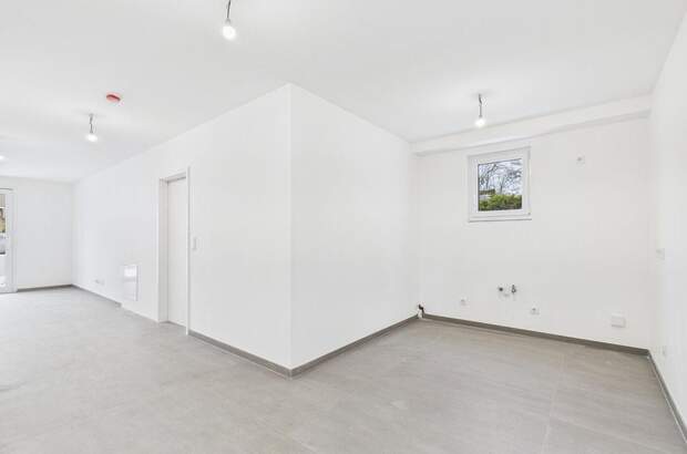 Gewerbeobjekt kaufen in 1230 Wien (Bild 5)