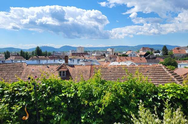 Terrassenwohnung kaufen in 3500 Krems (Bild 1)