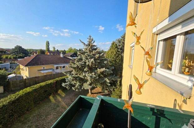 Terrassenwohnung kaufen in 2301 Groß (Bild 3)