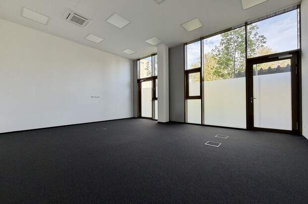 Gewerbeobjekt mieten in 8020 Graz (Bild 1)