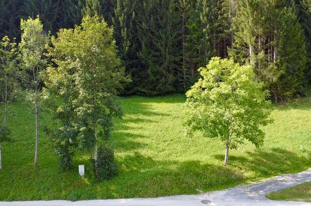 Grundstück kaufen in 8962 Gröbming (Bild 2)