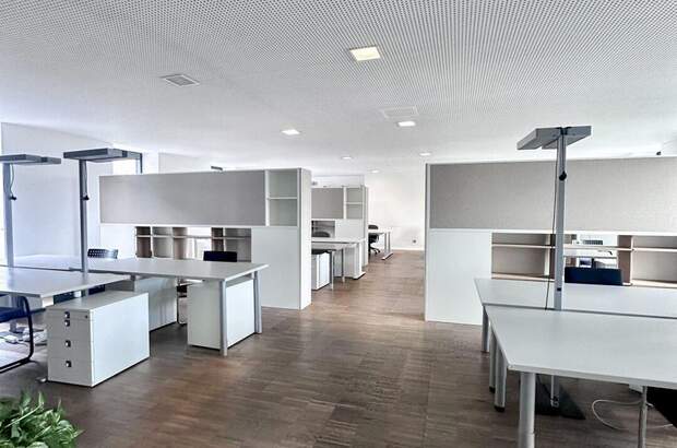 Gewerbeobjekt mieten in 4040 Linz (Bild 2)