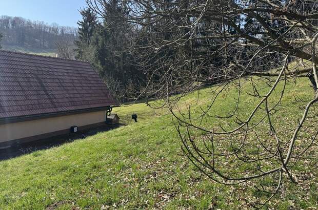 Haus mit Garten mieten in 8472 Spielfeld (Bild 4)