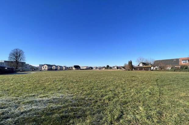 Grundstück kaufen in 8431 Gralla (Bild 1)