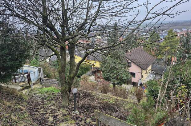 Einfamilienhaus kaufen in 3433 Königstetten (Bild 3)