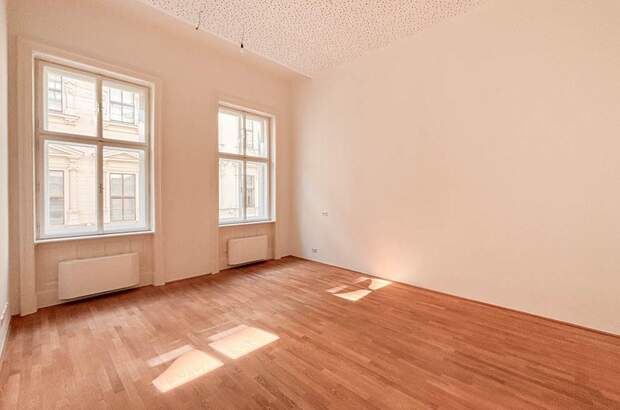 Gewerbeobjekt mieten in 1010 Wien (Bild 5)