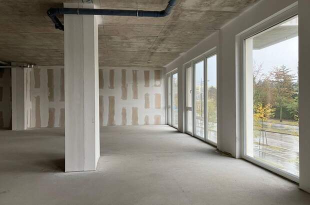 Gewerbeobjekt mieten in 1230 Wien (Bild 2)