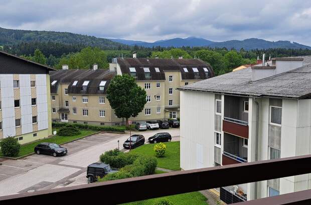 Terrassenwohnung kaufen in 3163 Rohrbach (Bild 1)