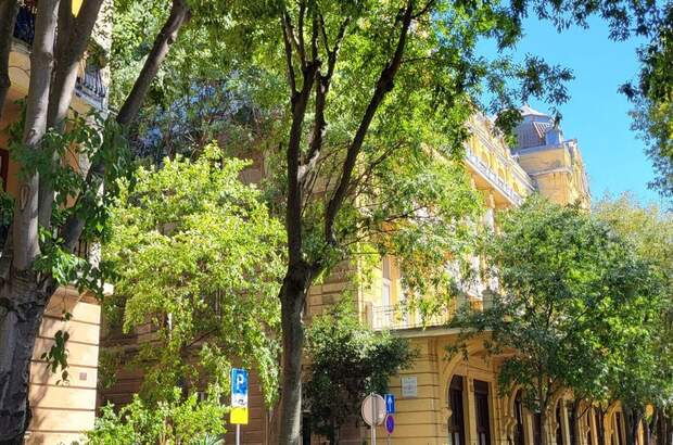 Altbauwohnung mit Balkon kaufen in 52100 Pula (Bild 2)