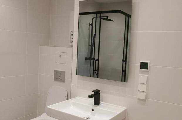 Gewerbeobjekt mieten in 1220 Wien (Bild 5)