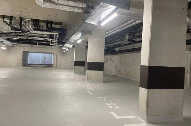 Halle / Lager / Produktion mieten in 1220 Wien (Bild 2)