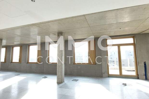 Gewerbeobjekt mieten in 1230 Wien (Bild 2)