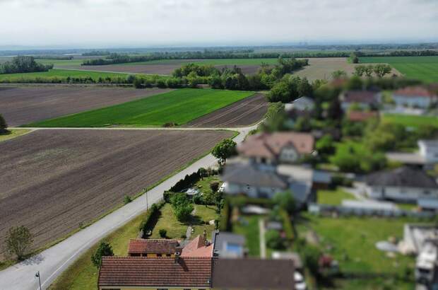 Haus mit Garten kaufen in 3465 Königsbrunn (Bild 1)