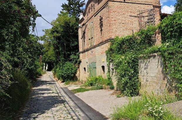 Grundstück kaufen in 2103 Langenzersdorf