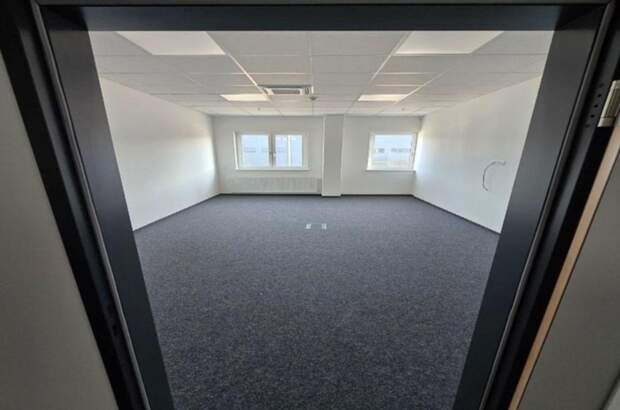 Gewerbeobjekt mieten in 2431 Enzersdorf (Bild 3)