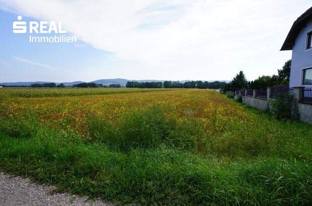 Grundstück kaufen in 3430 Frauenhofen (Bild 3)