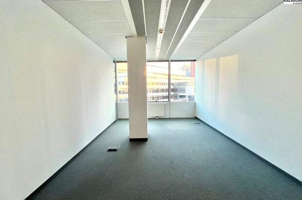 Gewerbeobjekt mieten in 1220 Wien (Bild 3)