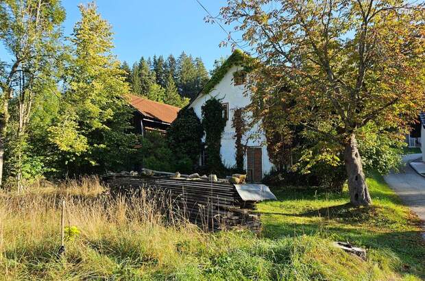 Haus kaufen in 4272 Weitersfelden