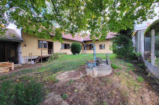 Einfamilienhaus kaufen in 3704 Großwetzdorf (Bild 2)