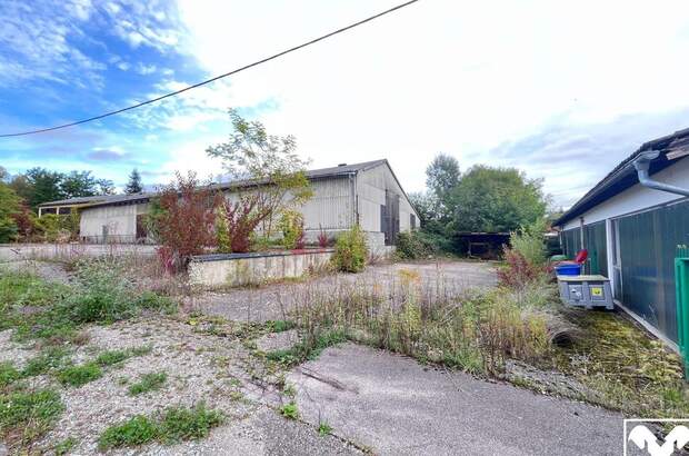 Grundstück kaufen in 4786 Brunnenthal (Bild 4)