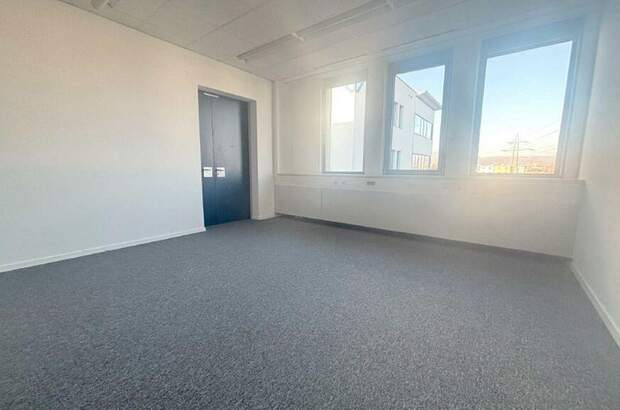 Gewerbeobjekt mieten in 2351 Wiener Neudorf (Bild 4)