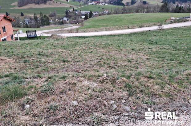 Grundstück kaufen in 4463 Großraming (Bild 4)