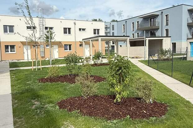 Reihenhaus mieten in 2700 Wr. Neustadt (Bild 3)