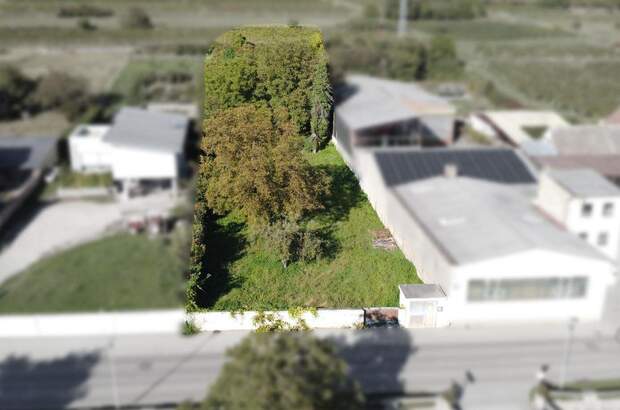 Grundstück kaufen in 3550 Langenlois (Bild 1)