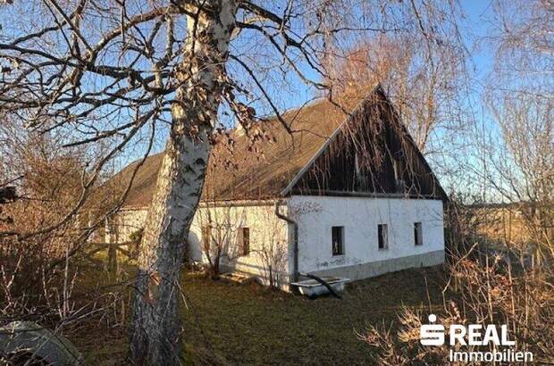 Haus kaufen in 4262 Dorf Leopoldschlag (Bild 5)