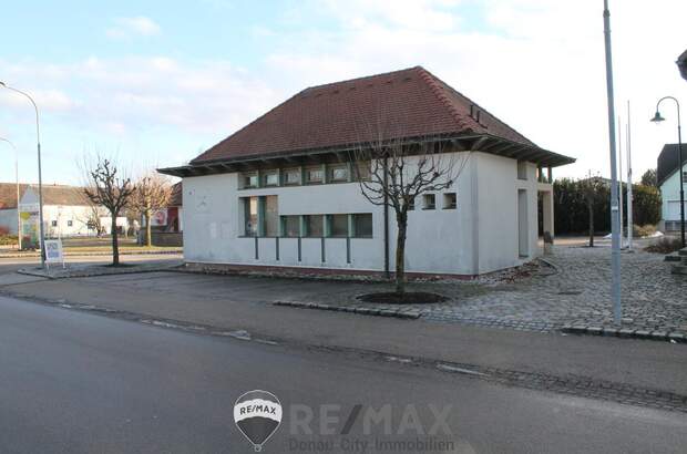 Büro / Praxis kaufen in 2020 Mittergrabern (Bild 2)