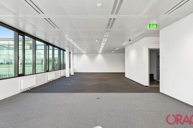 Gewerbeobjekt mieten in 1110 Wien (Bild 3)