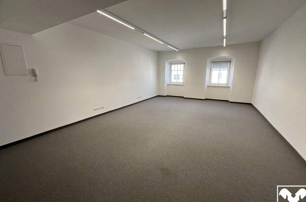 Gewerbeobjekt mieten in 4230 Pregarten (Bild 4)