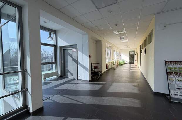 Gewerbeobjekt mieten in 8073 Feldkirchen (Bild 3)