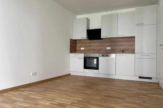 Anlageobjekt kaufen in 8054 Graz (Bild 3)