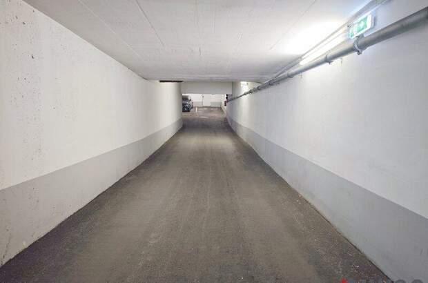 Halle / Lager / Produktion mieten in 2103 Langenzersdorf (Bild 4)