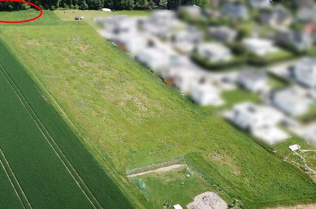 Grundstück kaufen in 4223 Ruhstetten (Bild 1)